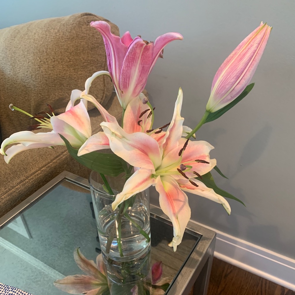 Meet your Posher, Laura